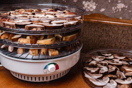 Digital food dehydrator drying mushroomsの写真素材