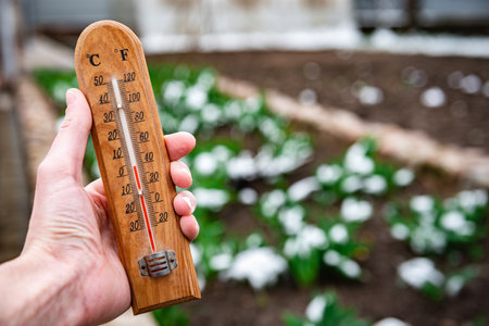 Gardener's hand holding thermometer showing three degrees against background of melting snow, green...