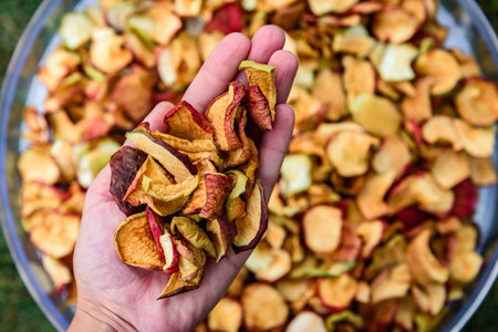 Fruit dryer and deshidratador with apple sliced fruit for drying. Autumn preparations.