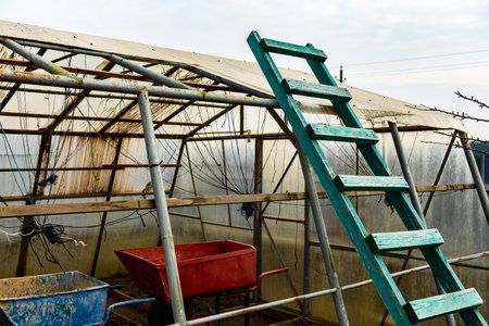 Man inspects old greenhouse for renovation on a spring day, greenhouse repair. Removal old polycarbonate using electric screwdriver.の写真素材