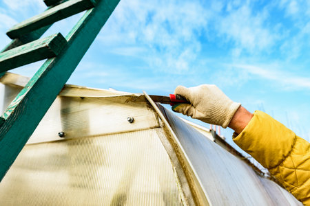 Greenhouse repair. Removal old polycarbonate using knife.の写真素材
