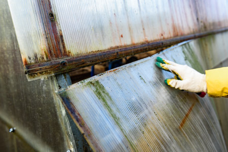Greenhouse repair. Removal old polycarbonate using knife.の写真素材