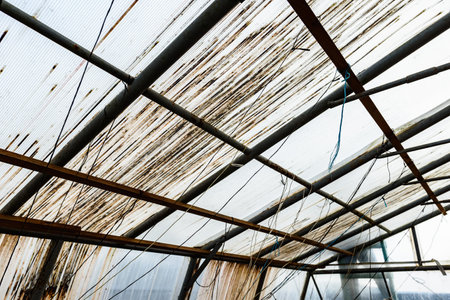 Close-up of a greenhouse wall made of old worn out dirty polycarbonate full of holes.の写真素材