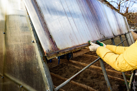 Greenhouse repair. Removal old polycarbonate using knife.の写真素材