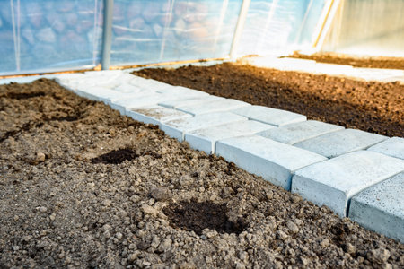 Soil preparation and spring planting of vegetables in the greenhouse in early spring.