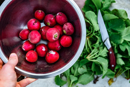Hands holding bowl of peeled radishes for storage.