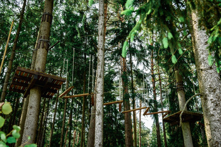 Rope obstacle track high in the trees, a rope course in an adventure park in a pine forest, climbing...