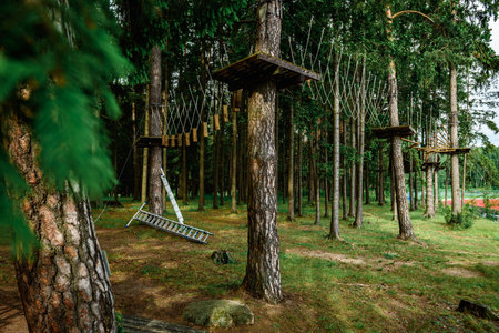 Rope obstacle track high in the trees, a rope course in an adventure park in a pine forest, climbing...