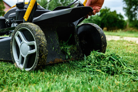 Man unloads mowed grass from a lawn's mower catcher into a wheelbarrow.