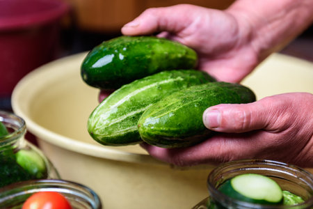 Preservation of seasonal vegetables. Washing cucumbers before the preparation of canned food, the cooking processの写真素材