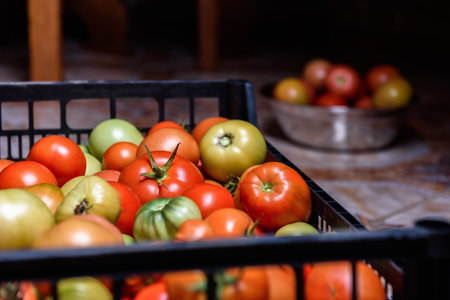 Preservation of season vegetables. Preparation of tomatoes for canned food, the cooking process.の写真素材