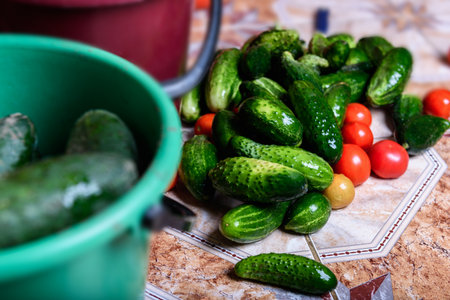 Preservation of seasonal vegetables. Washing cucumbers and tomatoes before the preparation of canned food, the cooking processの写真素材