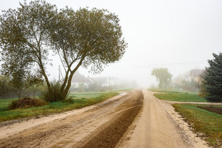 Grading of a dirt road in late autumnの写真素材