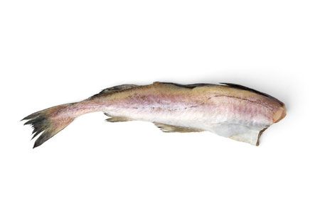 Fresh raw frozen pollock isolated on white background