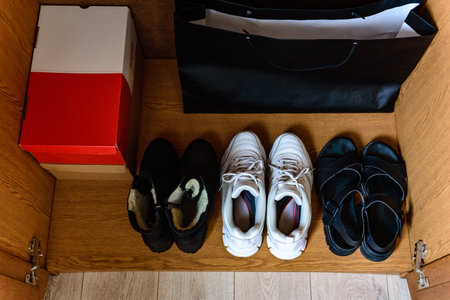 Footwear shoes closet comfortable storage contemporary organize at home. Household cleaning...