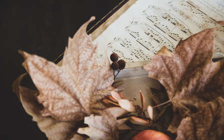Autumn. Autumn still life. Open notes and a maple dry autumn leaf.の写真素材