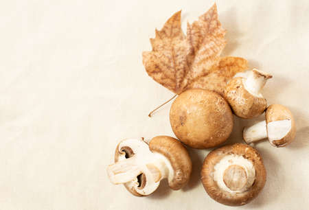 A set of fresh mushrooms and a dry maple leaf are on a light background. Autumn theme. Free space for text.の写真素材