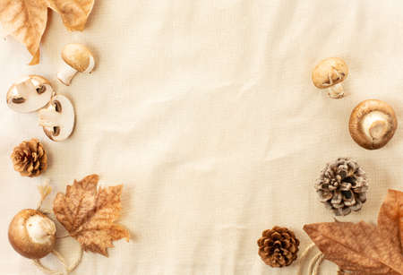 Set of fresh mushrooms, dry leaves and pine cones on a linen background. Autumn theme. Free space for text.の写真素材