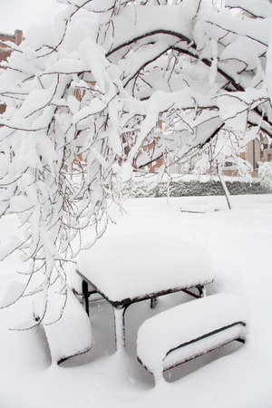 The table and benches covered with snowdrifts are located under the branches of a snow-covered tree on the street of the city. Winter landscape.の写真素材