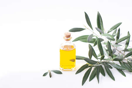 A glass jar with olive oil and olive tree twig are on white background. Copy space.の写真素材