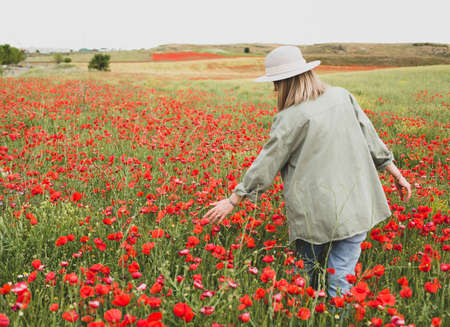 A girl in a summer hat walks through a blooming poppy field in summer. Nature pastime theme.の写真素材