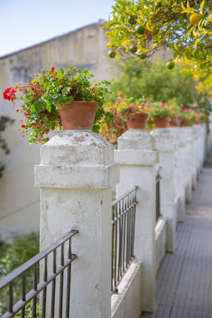 Mediterranean style street with blooming flowers in clay pots. Traditional street architecture of a...