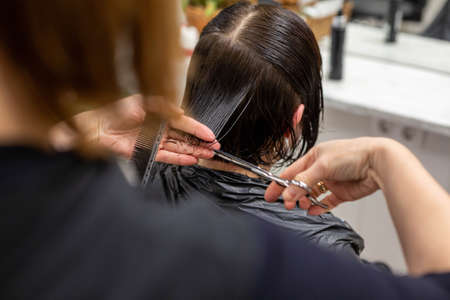 A hairdresser cuts the hair of a brunette woman in a beauty salon. Theme of beauty and hair care.