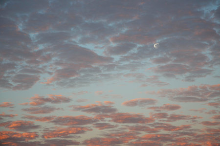 Background in the form of a sunset sky with pink clouds and a round moon in the clouds.の写真素材