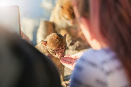 A little monkey surrounded by people sniffs with curiosity a hand that a girl hands to her. Contact...