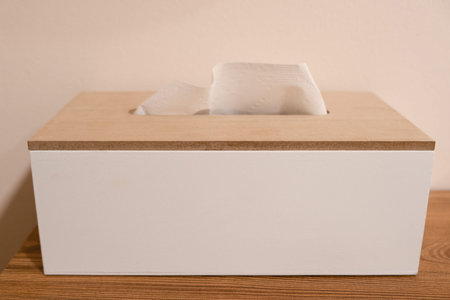 Minimalistic wooden tissue box with a white paper tissue sticking out. Neutral home interior, soft warm lighting, clean and simple hygiene concept. Text spaceの写真素材