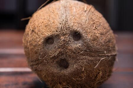 The eyes of the coconut. A screaming face with eyes and nose, a smile. Coconut close-up. Tropical fruit, nut. Exotic, vegetarian, vegan, dietary, proper nutrition, healthy lifestyle.の写真素材