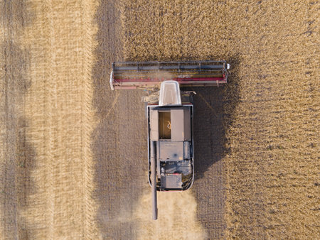 Harvester machine working in wheat field. Agriculture, rich harvest. The work of technology in the...