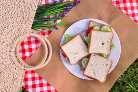 Three vegetarian sandwiches with cucumbers tomatoes and bread. Picnic in parkの写真素材