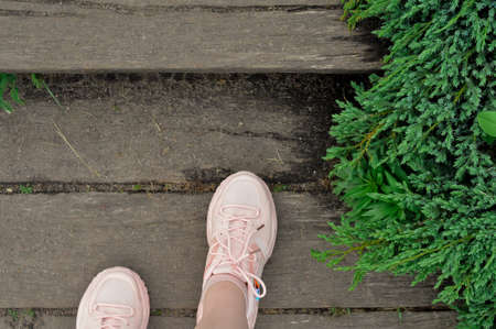 Pink womans sneakers on the wooden bridge in the forestの写真素材