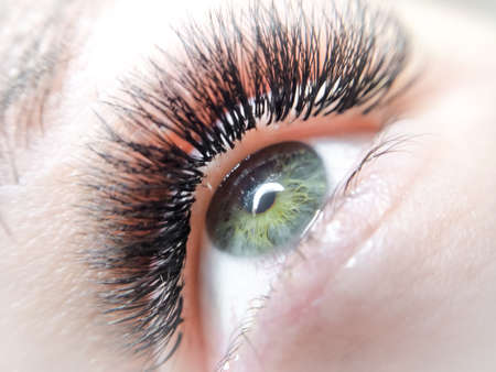 lash extensions in beauty salon macro eyeの写真素材