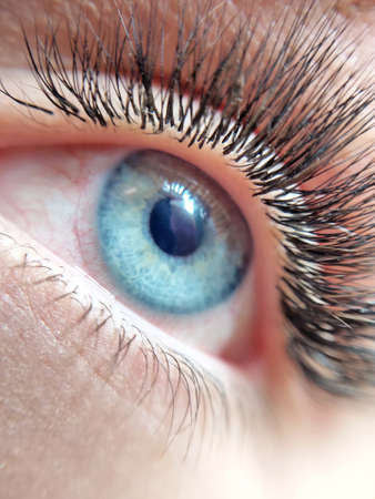 Lash extensions in beauty salon macro eyeの写真素材
