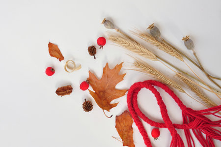 autumn leaves composition with shopping bag on white backgroundの写真素材