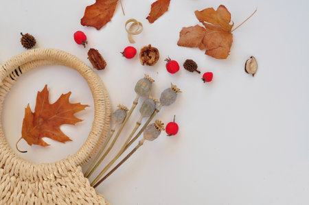 autumn leaves composition with shopping bag on white backgroundの写真素材
