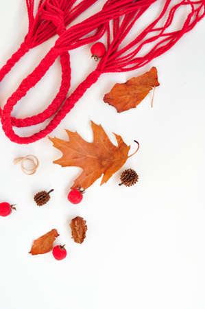 autumn leaves composition with shopping bagの写真素材