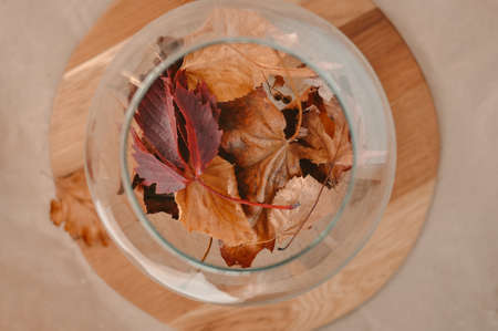 Autumn composition with golden leaves and candle . High quality photoの写真素材