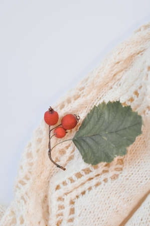 knitted warm comfortable and cozy sweater autumn and winter clothesの写真素材