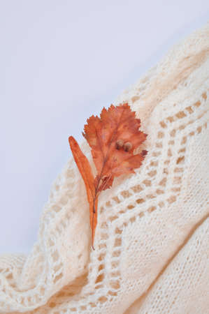 knitted warm comfortable and cozy sweater autumn and winter clothesの写真素材