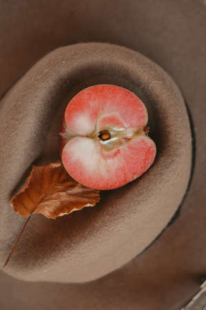 Red apple harvest in bag autumn season . High quality photoの写真素材