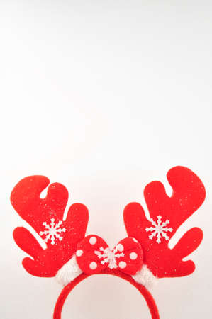 Deers horns on white background copy spaceの写真素材