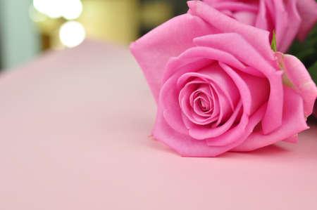 Bouquet of roses on pink background copy spaceの写真素材