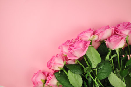 Bouquet of roses on pink background copy spaceの写真素材