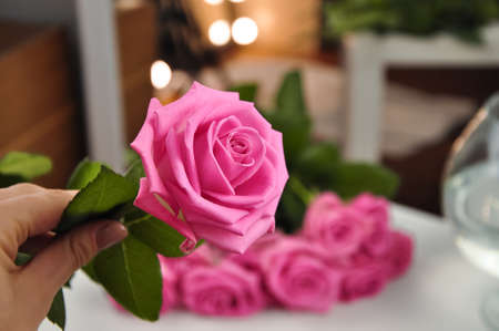 Bouquet of roses on pink background copy spaceの写真素材