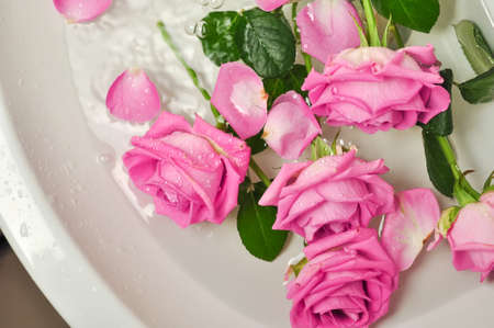 Glass of wine and bouquet of pink roses in sinkの写真素材