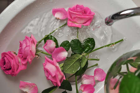 Glass of wine and bouquet of pink roses in sinkの写真素材