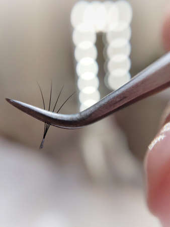 Bunch of fake lashes in tweezers for eyelash extensionsの写真素材